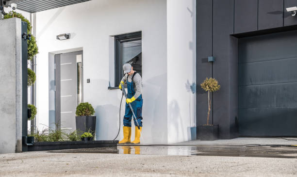 Best Roof Washing  in Temple, TX